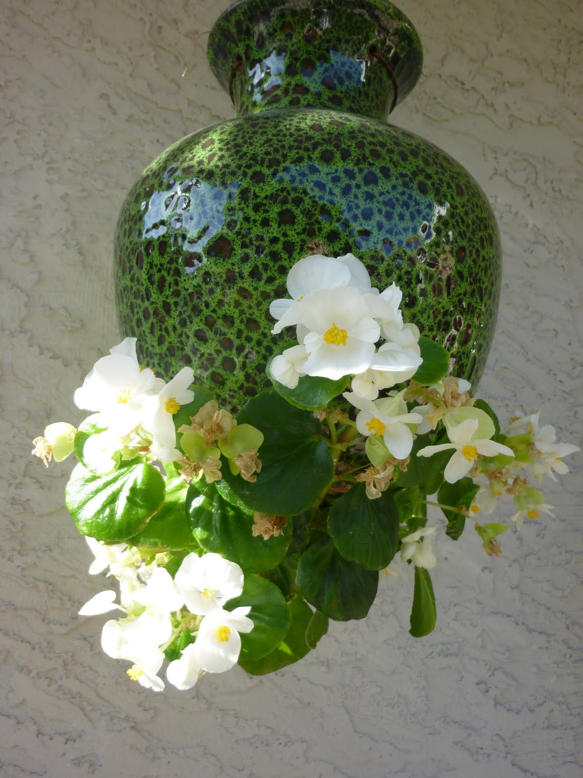 A Place to Share Down Under Pots