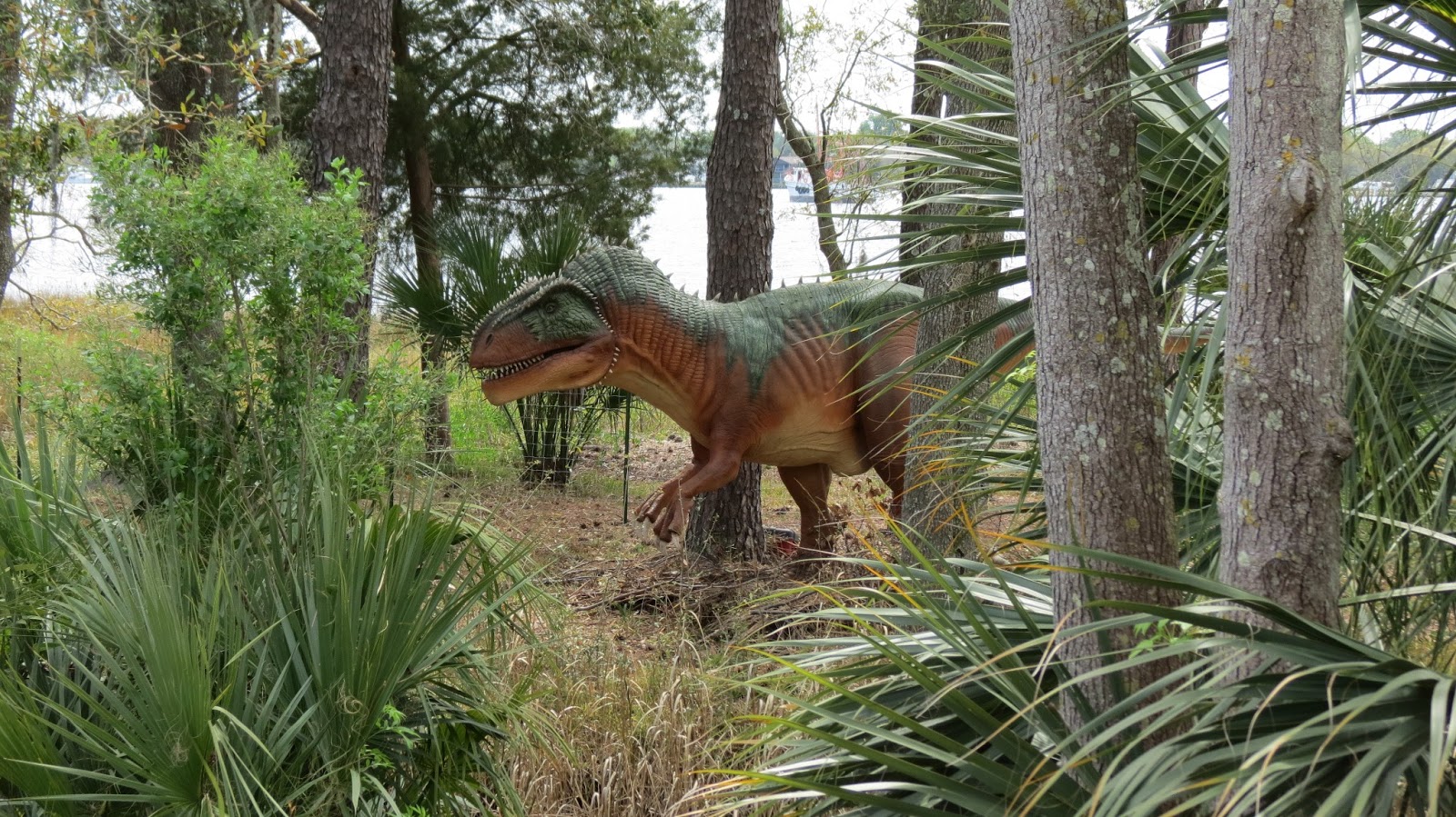 Our Nature Jurassic Jacksonville