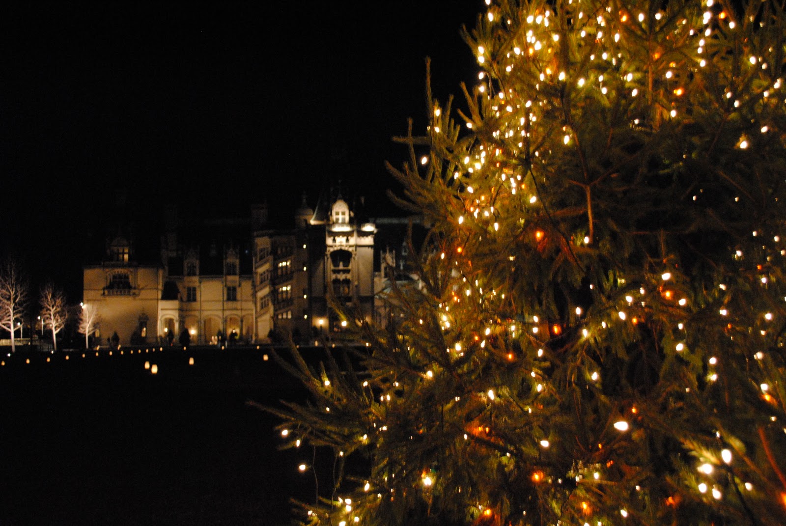 Best Christmas Cities Candlelight Tour Biltmore Estate