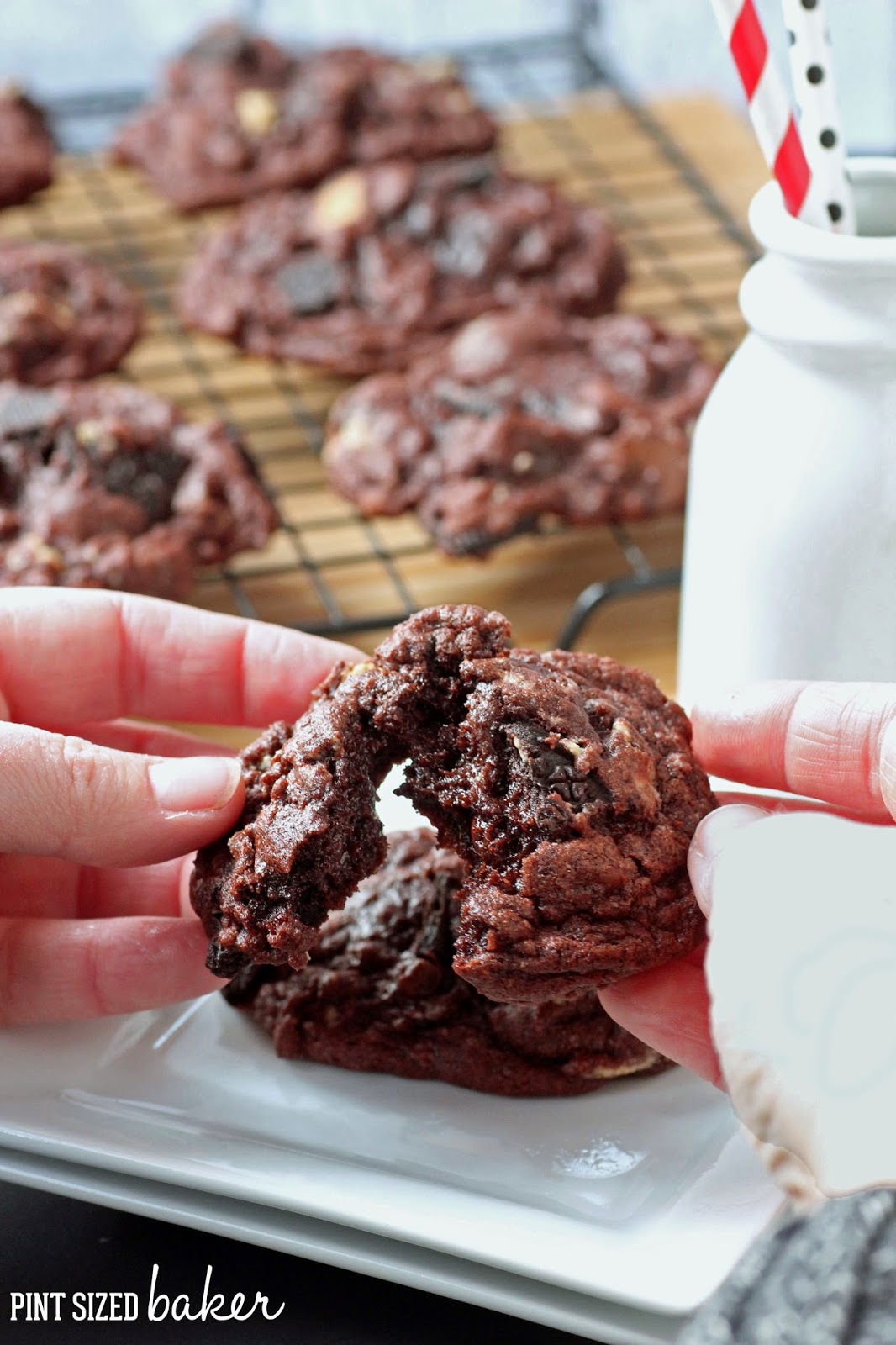 Reese's Peanut Butter Chocolate Pudding Cookies 3 1+ps+PB+Chocolate+Pudding+Cookies+(35)