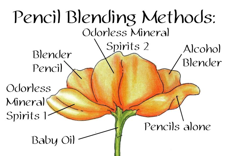 Dina Kowal Creative Pencil Blending Tutorial