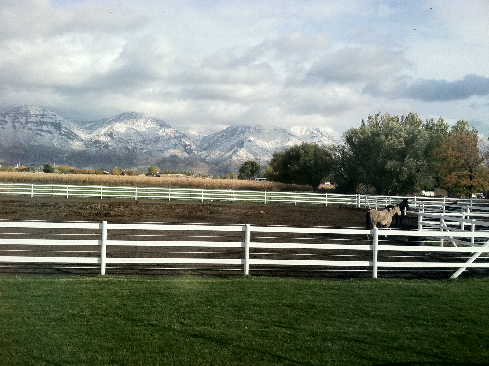 The Shanna Day Team Beautiful 2 Acre Horse Property w/ Mountain Views