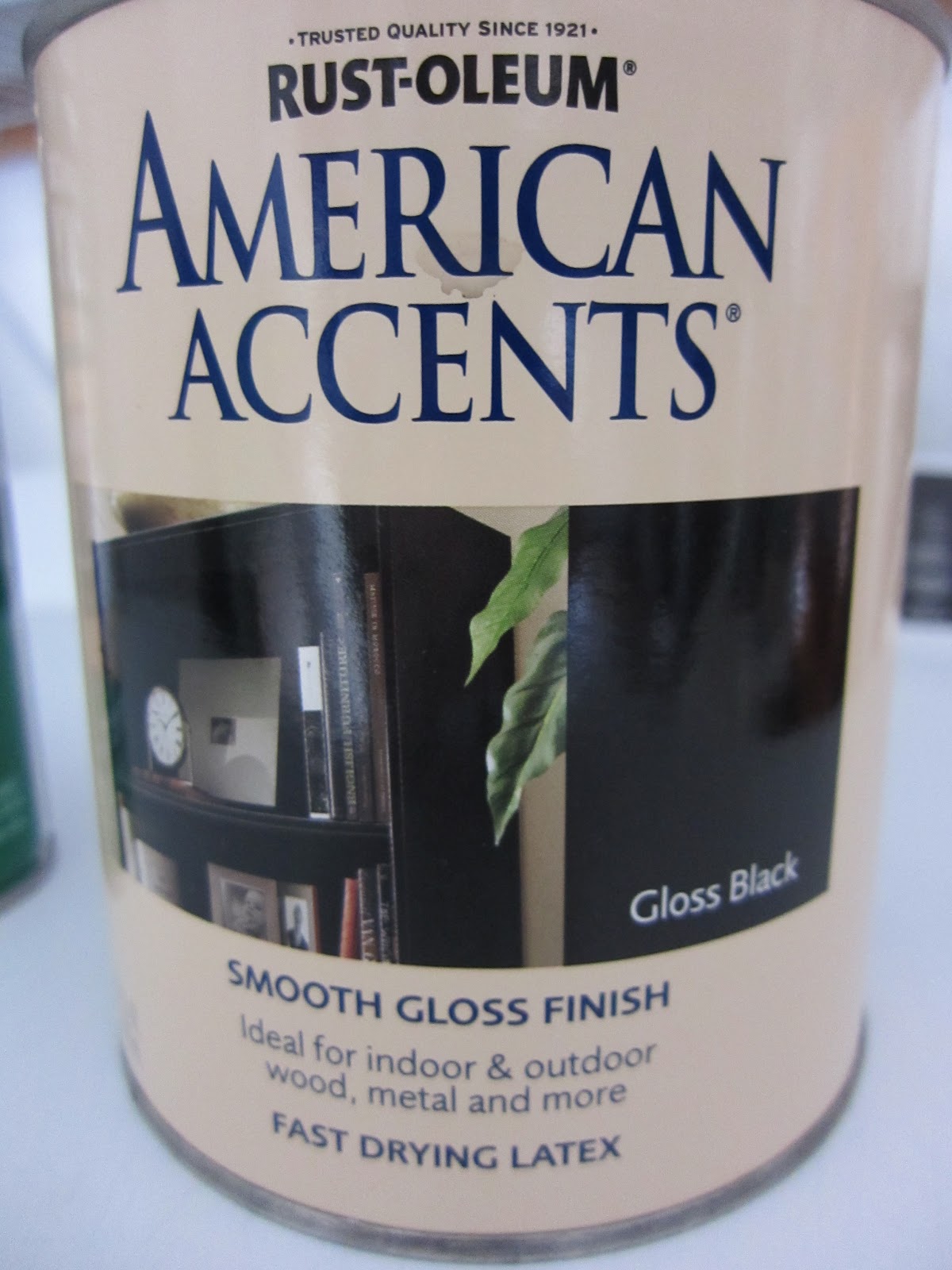 Frugal Ain't Cheap Painting appliances black