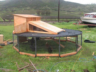 Trampoline Bed For Sleeping Trampoline Bed For Sleeping