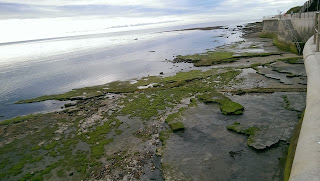 Lyme_Regis_Ledges.jpg