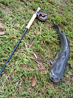 redington predator
