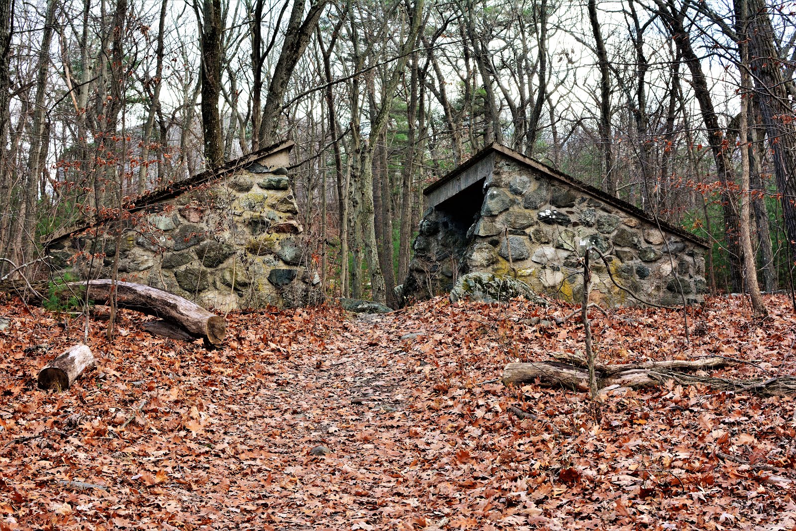 Photoggablogga Prospect Hill Park Waltham, MA
