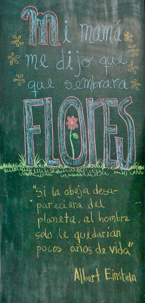 La Taza Lunar Mi Mama Me Dijo Que Sembrara Flores El Proceso la taza lunar blogger