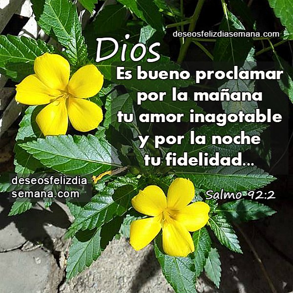 Resultado de imagen para Gracias Señor por tu amor inalterable