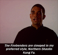 "The Firebenders are steeped in my preferred style, Northern Shaolin King Fu."
