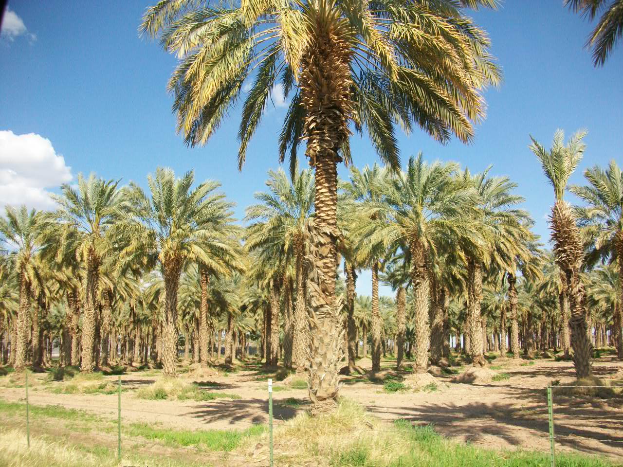 Al and Nita's Travels Yuma, Arizona