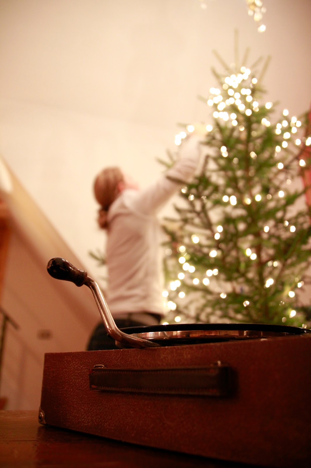 Gwiazdka w Puszczy - Ania w Podróży