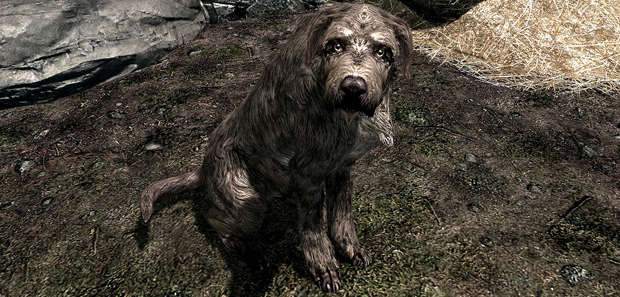 Skyrim Buying a Dog Tip