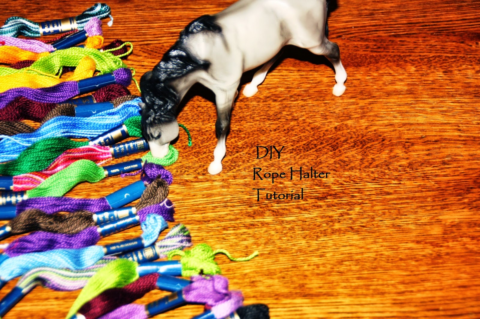 Bits and Spurs DIY Rope Halter Tutorial