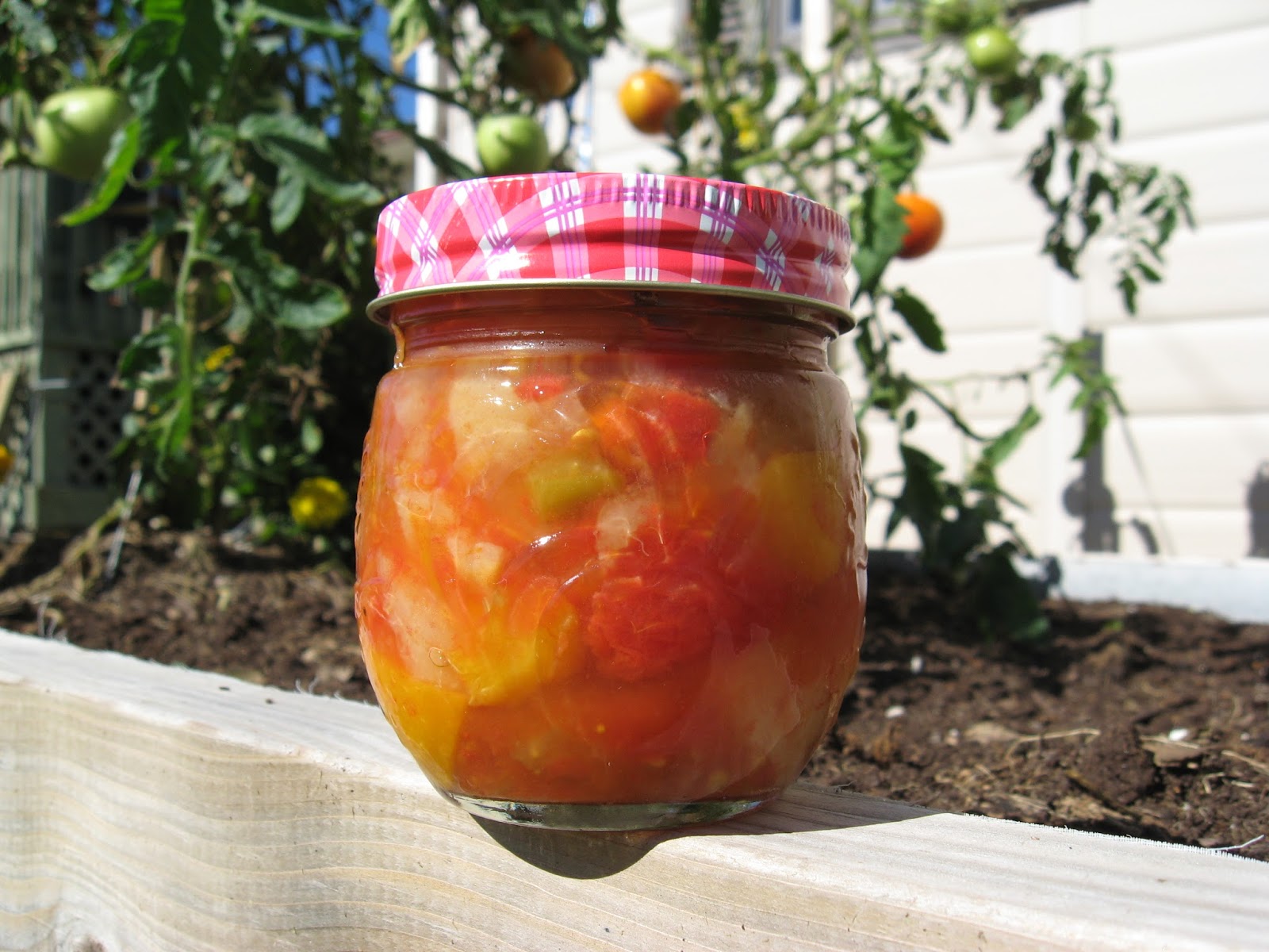 Recettes de Flipp Ketchup aux fruits dans la mijoteuse