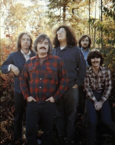 Portrait In Reverb The Turtles