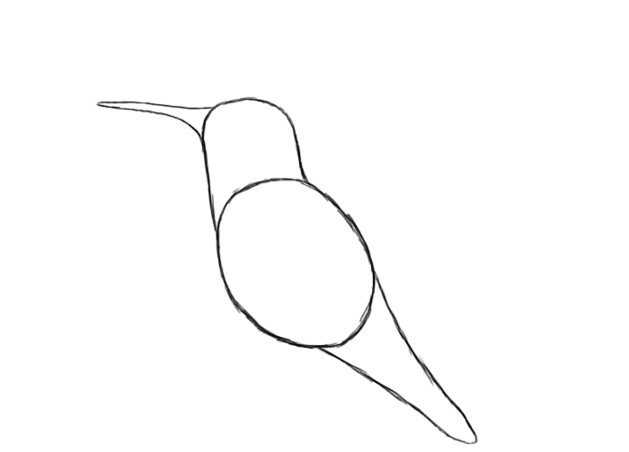 How To Draw A Hummingbird - Draw Central
