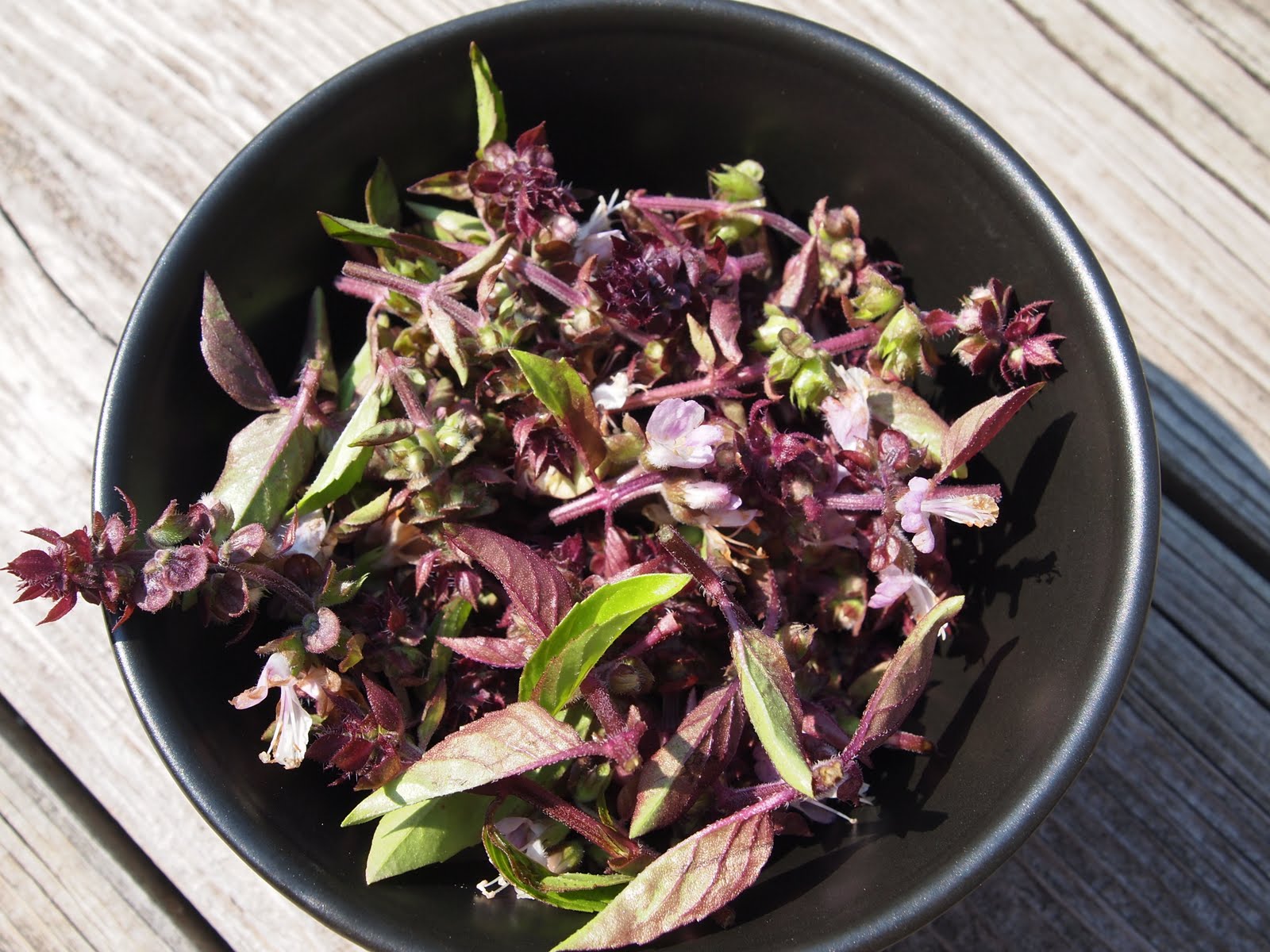 Where the Veggies Are Thai Basil Flowers