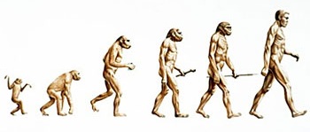 evolution gaps