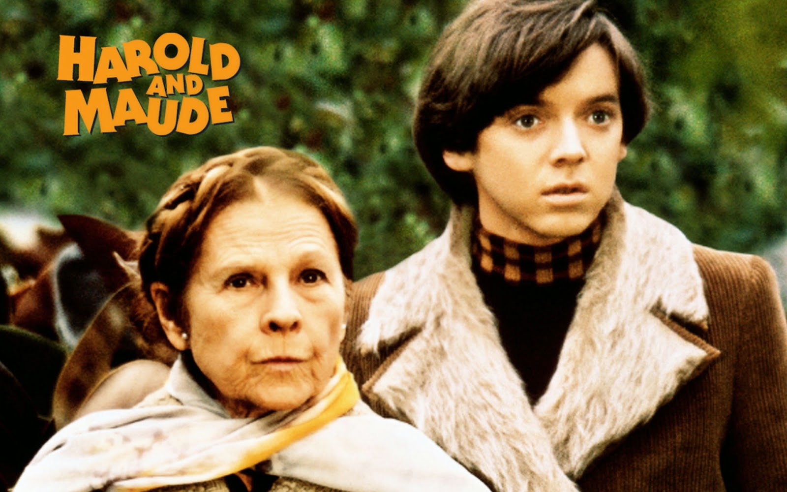 harold and maude 1971 full movie free download putlockers harold and maude 1971 full movie free download putlockers