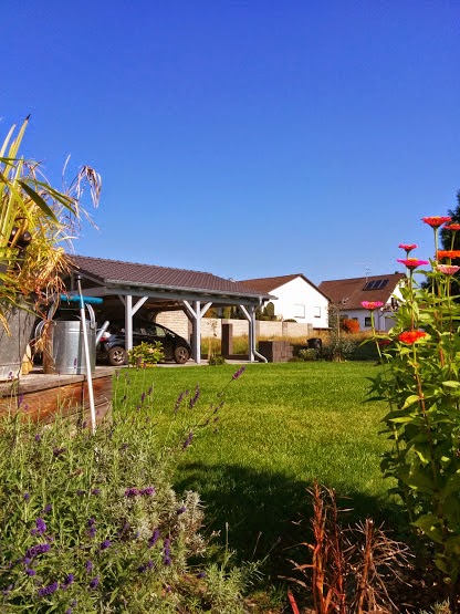 Wir Bauten Orange Medley200 Keller Wiga 2014