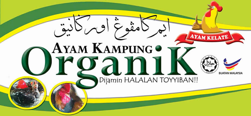 Ayam Kampung Organik Kelate: Kelantan Biotech Corporation