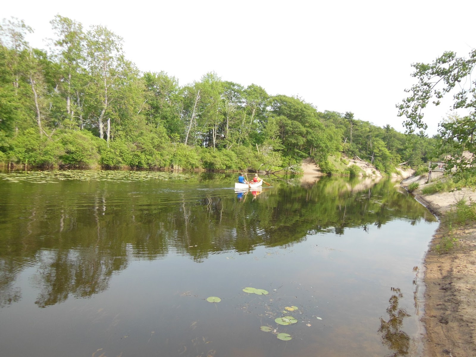 Fishing & Hunting in Oswego County, NY Deer Creek Marsh Wildlife