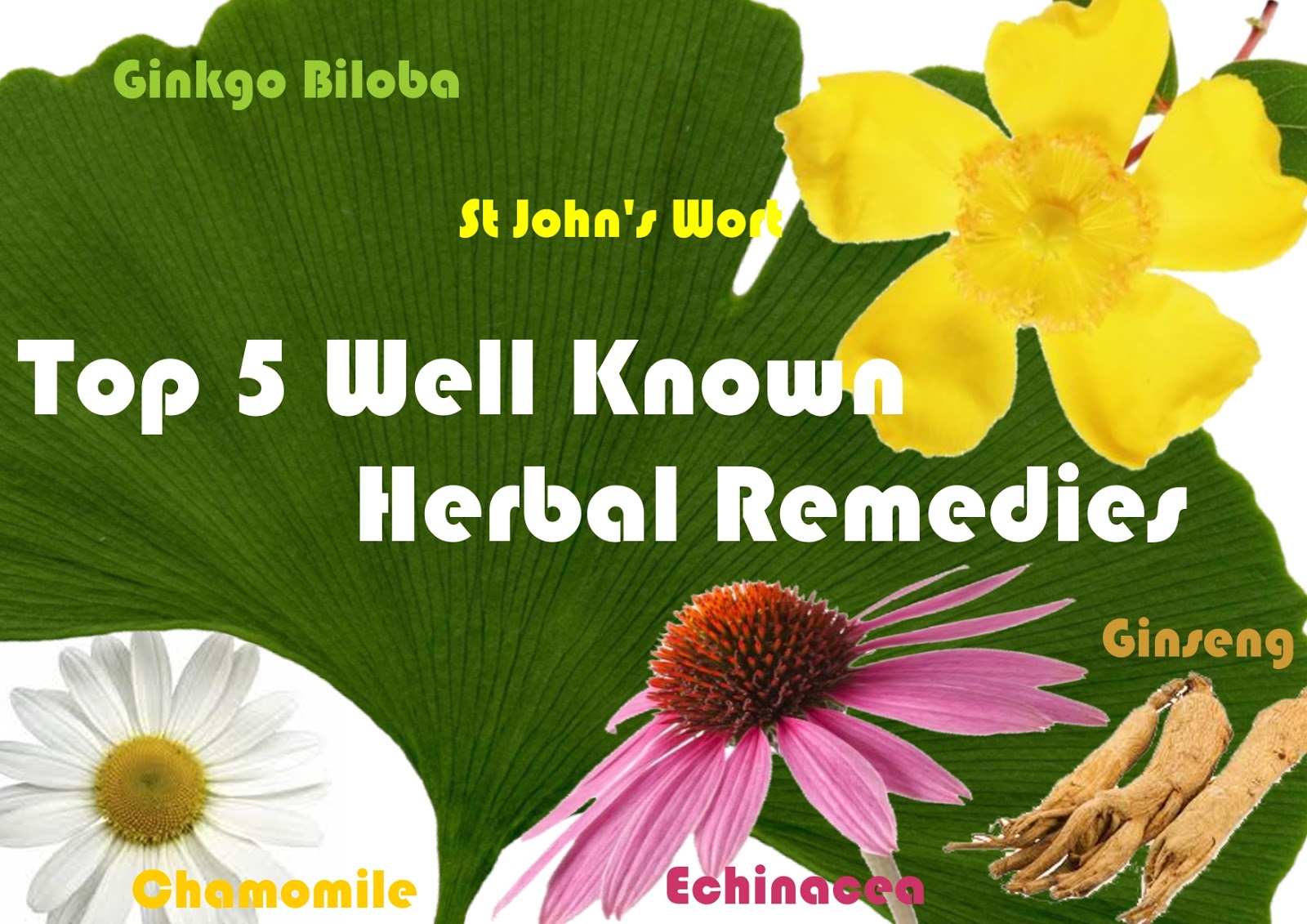 DNA Biopharm POPULAR HERBAL REMEDIES