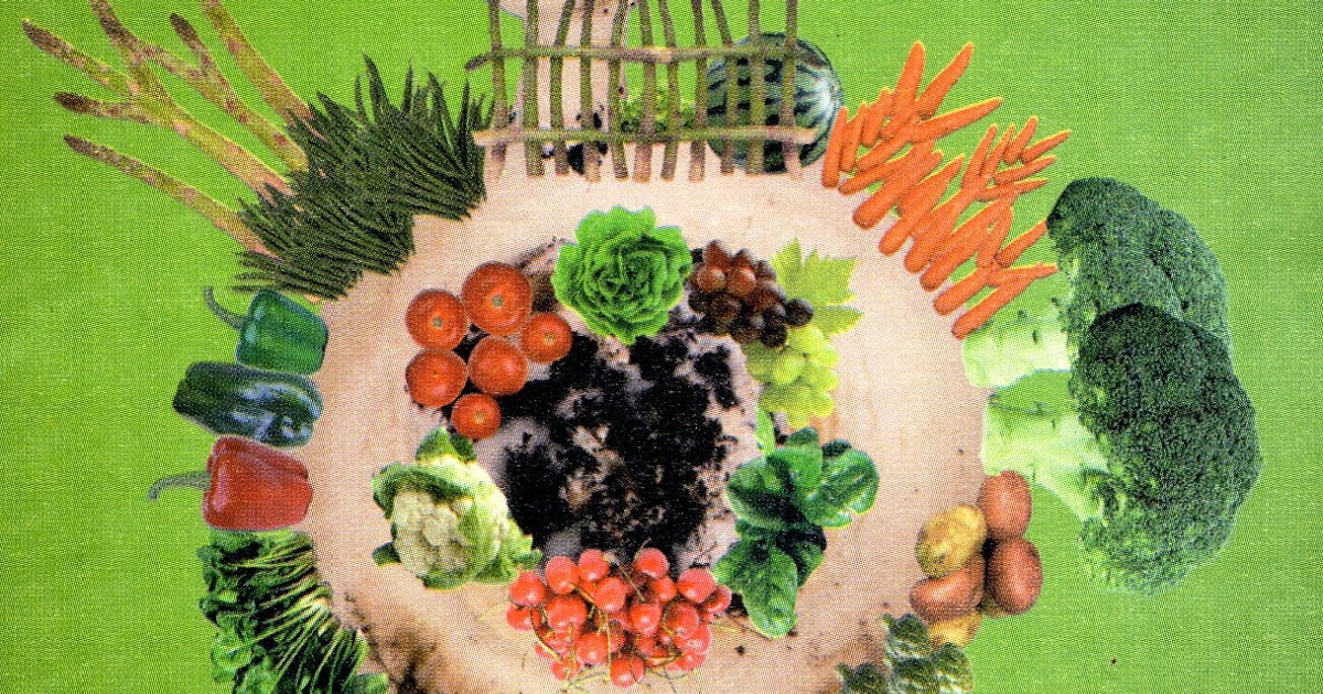 Jardineria Eladio Nonay: FIESTA DE HUERTOS ESCOLARES (Jardinería Eladio