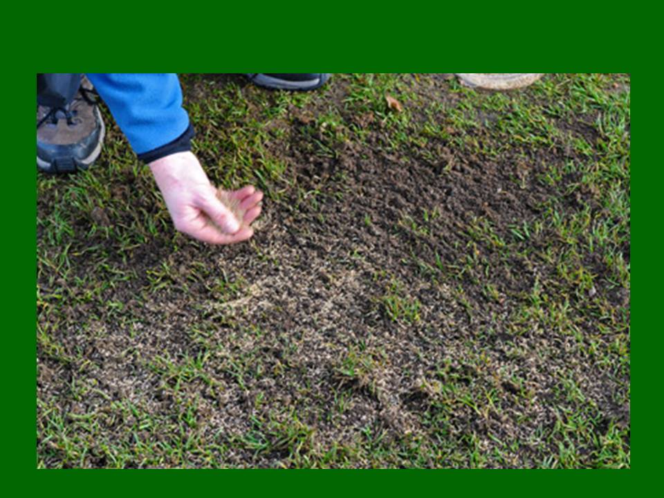 Consejos para Septiembre - Taringa!