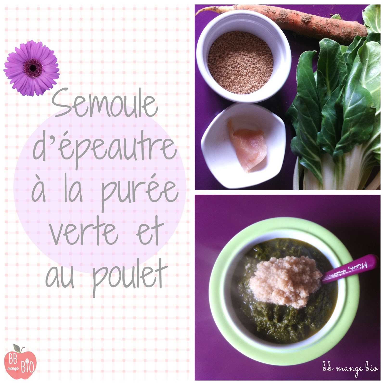 Mange Bio Semoule D Epeautre A La Puree Verte Et Au Poulet Mange Bio Semoule D Epeautre A La Puree Verte Et Au Poulet