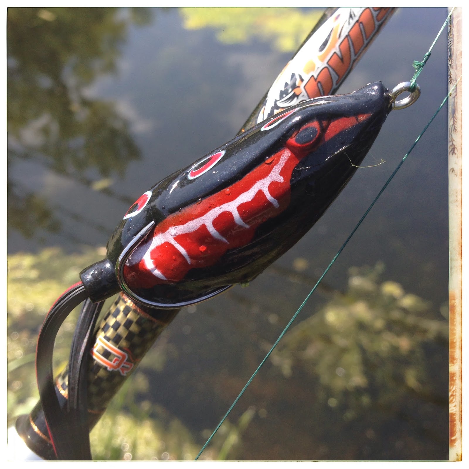 Bass Junkies Frog Pond Blitz Phrog Review