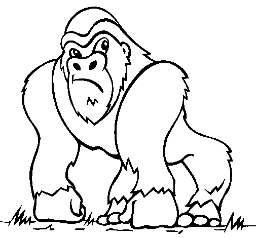 Macaco Desenho Para Colorir - Ultra Coloring Pages