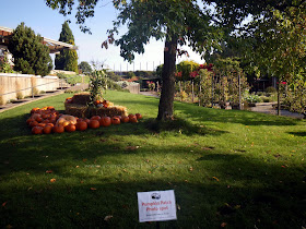 2011 UBC Apple Festival - Pumpkin Patch 2011 UBC Apple Festival - Pumpkin Patch
