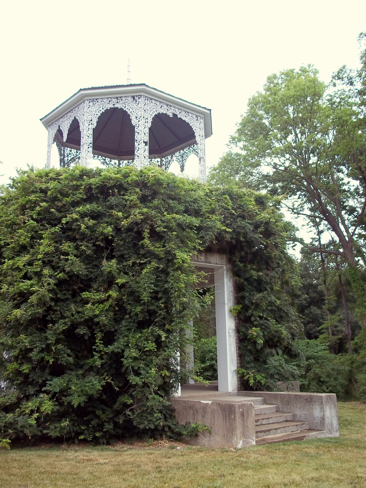 Hello, Wild Things Allerton Park