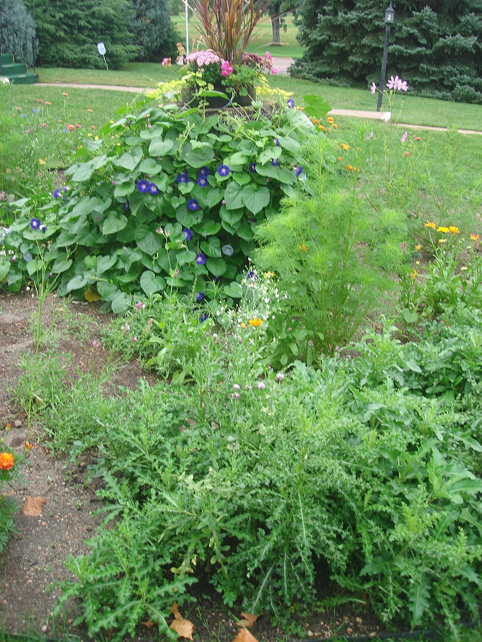 Living the Craft Life: 10 ways to decorate (hide) a tree stump in your yard
