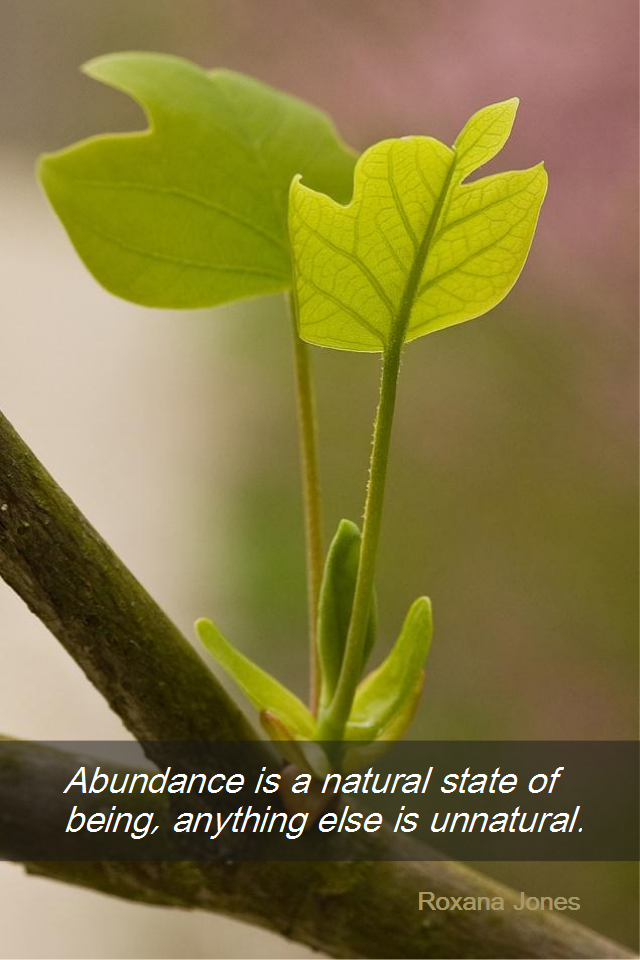 visual quote - image quotation for ABUNDANCE - Abundance is a natural state of being, anything else is unnatural. - Roxanna Jones