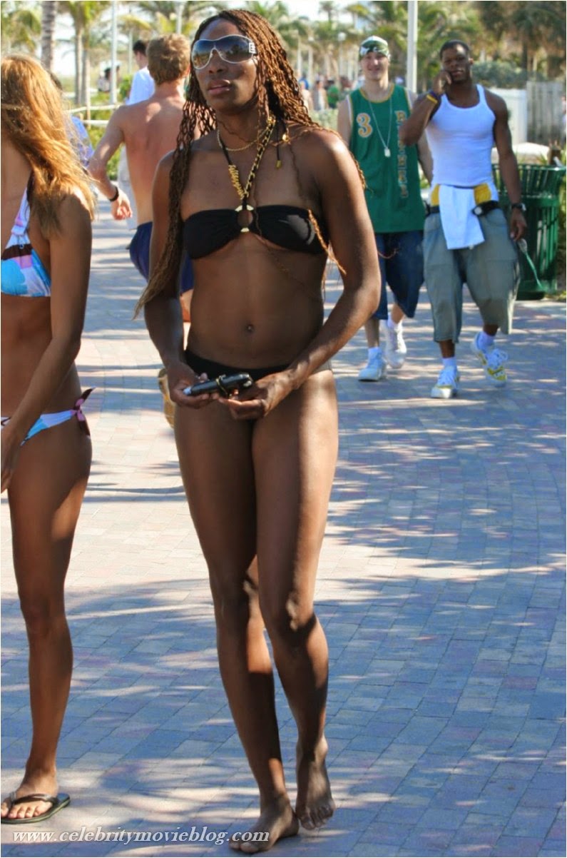 Venus Williams Hot And Spicy Bikini Pics.