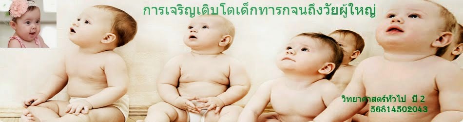 การเจริญเติบโตเด็กทารกจนถึงวัยผู้ใหญ่