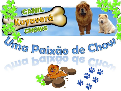 Canil Kuyaverá Chows