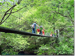 PARA VOLVER A ACTIVIDADES EN EL MEDIO NATURAL PINCHA EN LA IMAGEN