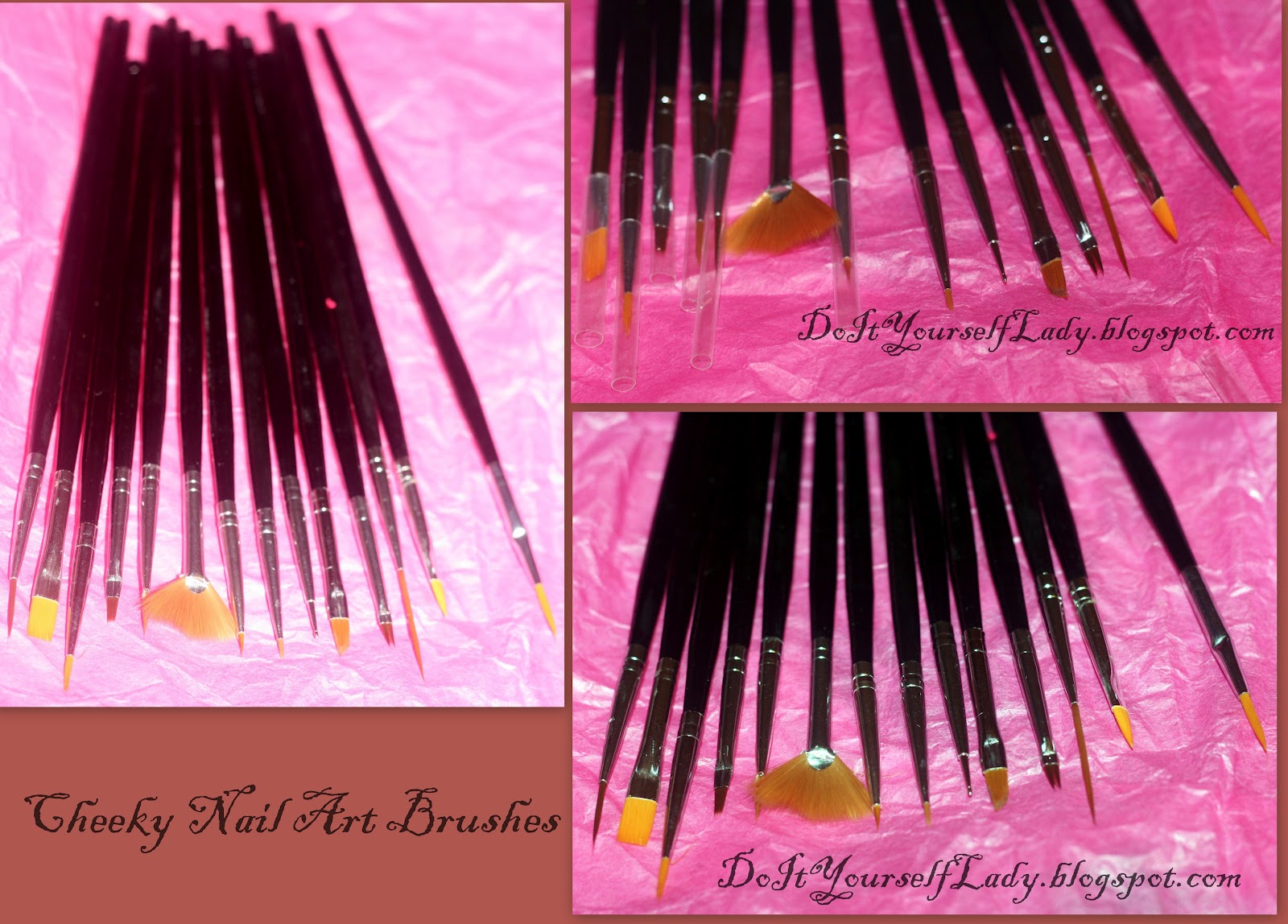 The Do It Yourself Lady Review Cheeky Nail Art Brushes & Flower