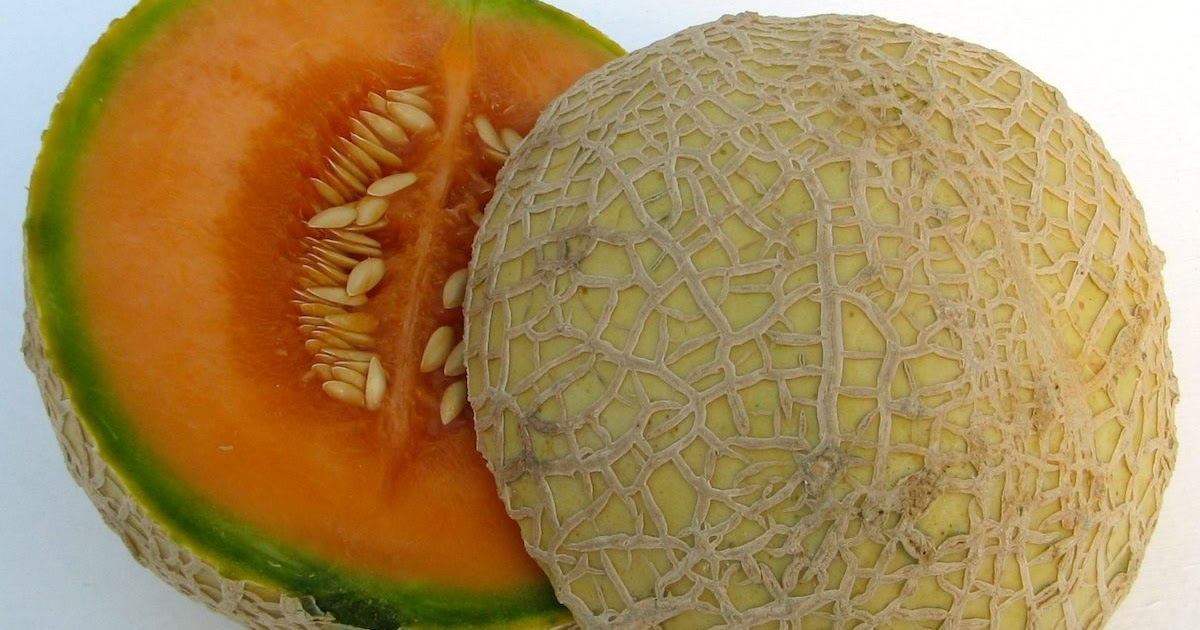 Perigreen Benefits Of Musk Melon