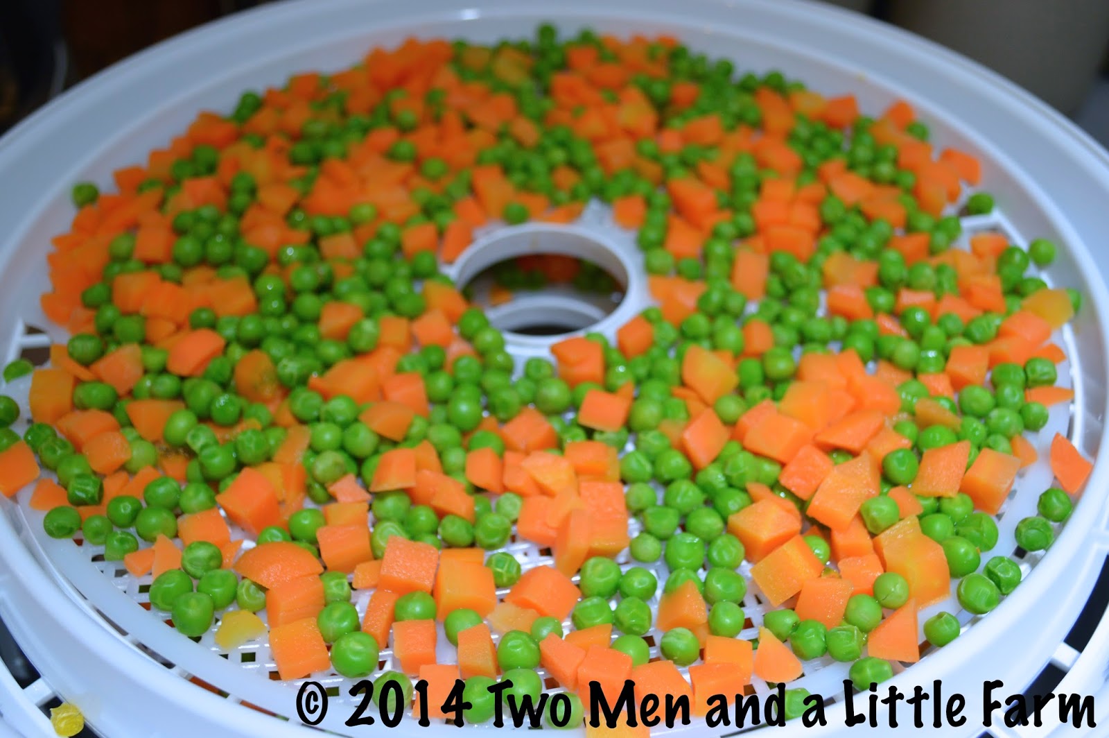 Two Men and a Little Farm DEHYDRATING FROZEN PEAS AND CARROTS