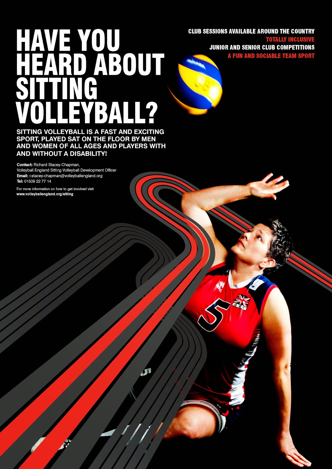 Sitting Volley Ball Posters 2013
