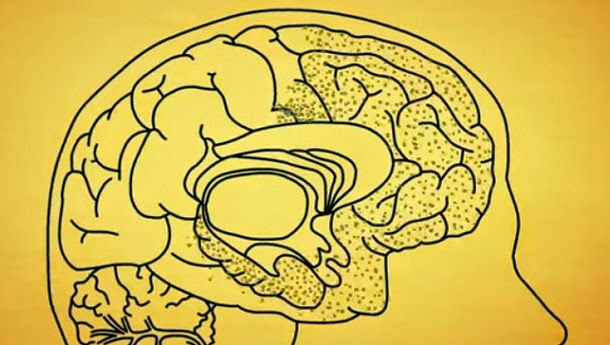 Veja o que o Alzheimer faz ao cérebro (com video)