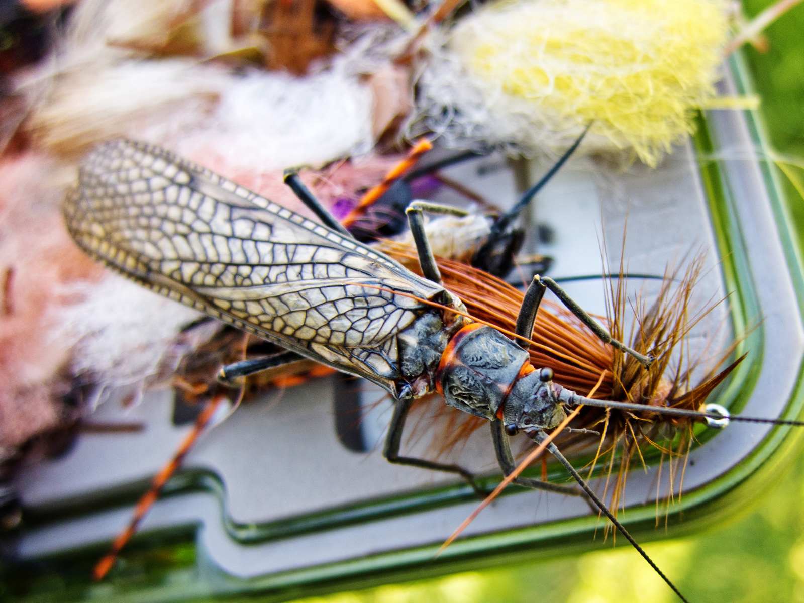 Arian Stevens Photography SALMONFLY FISHING ON THE DESCHUTES RIVER