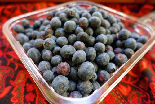 picture of blueberries