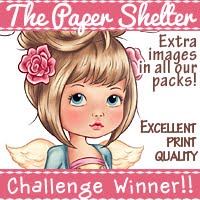 I won at the Paper Shelter Blog Hop