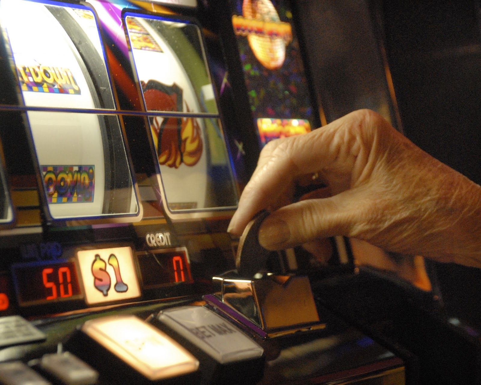 Jogos de slots gratis The Jungle II Jogos de slots gratis The Jungle II
